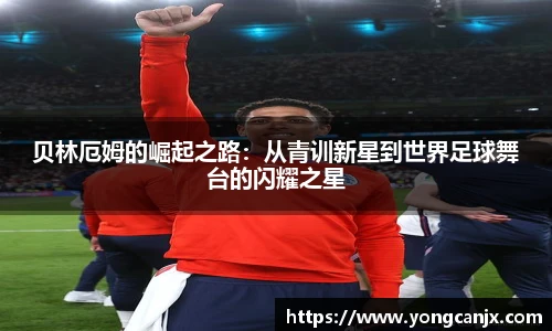 豪门国际官方网站